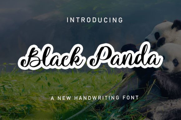 Black Panda: The Relaxed Handwritten Font for Authentic Branding