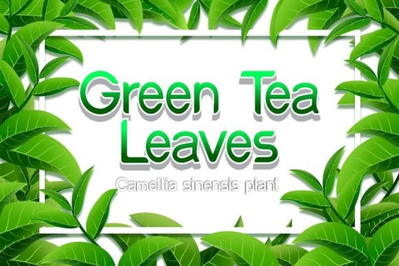 Green Tea Leaves: A Script Font for Refined Editorial Design