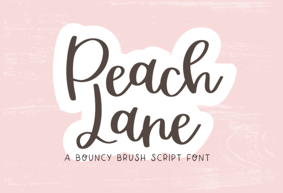 Peach Lane: A Delicate Script Font for Editorial Design